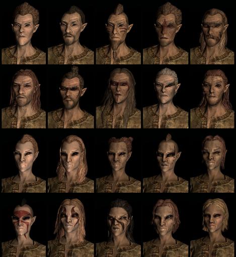 Elder Scrolls V: Skyrim, The - The Races and Faces of Skyrim