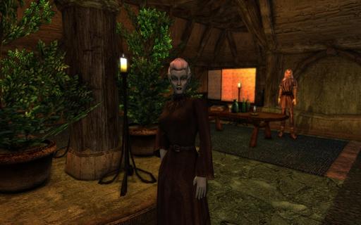 Elder Scrolls III: Morrowind, The - Из грязи в князи. Прохождение Великого Дома Хлаалу